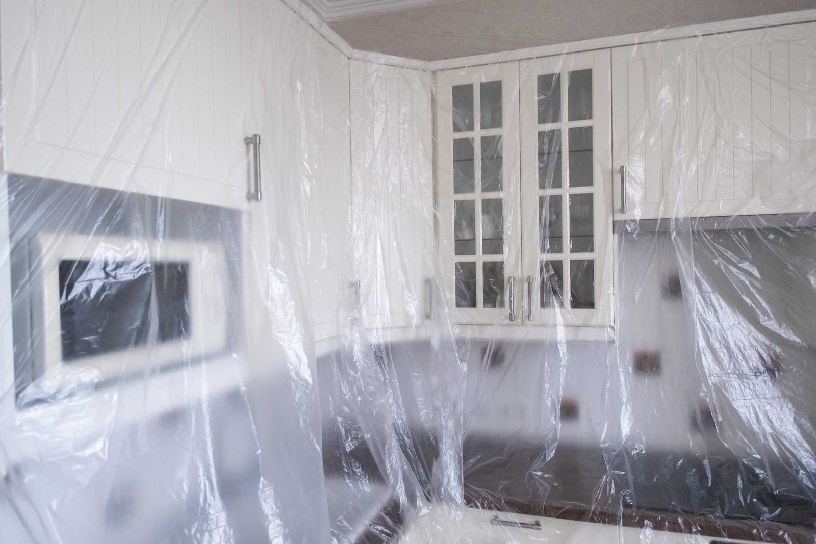 Hiring a Mold Remediation and Restoration Company? 12 Important Steps