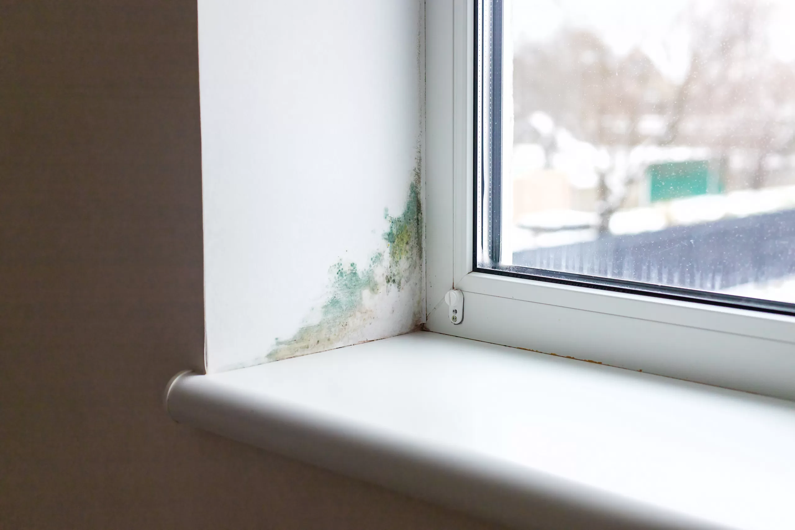 Mold Damage: Dealing with Mold? What you need to know before remediation. Slope near the window fungus moisture.