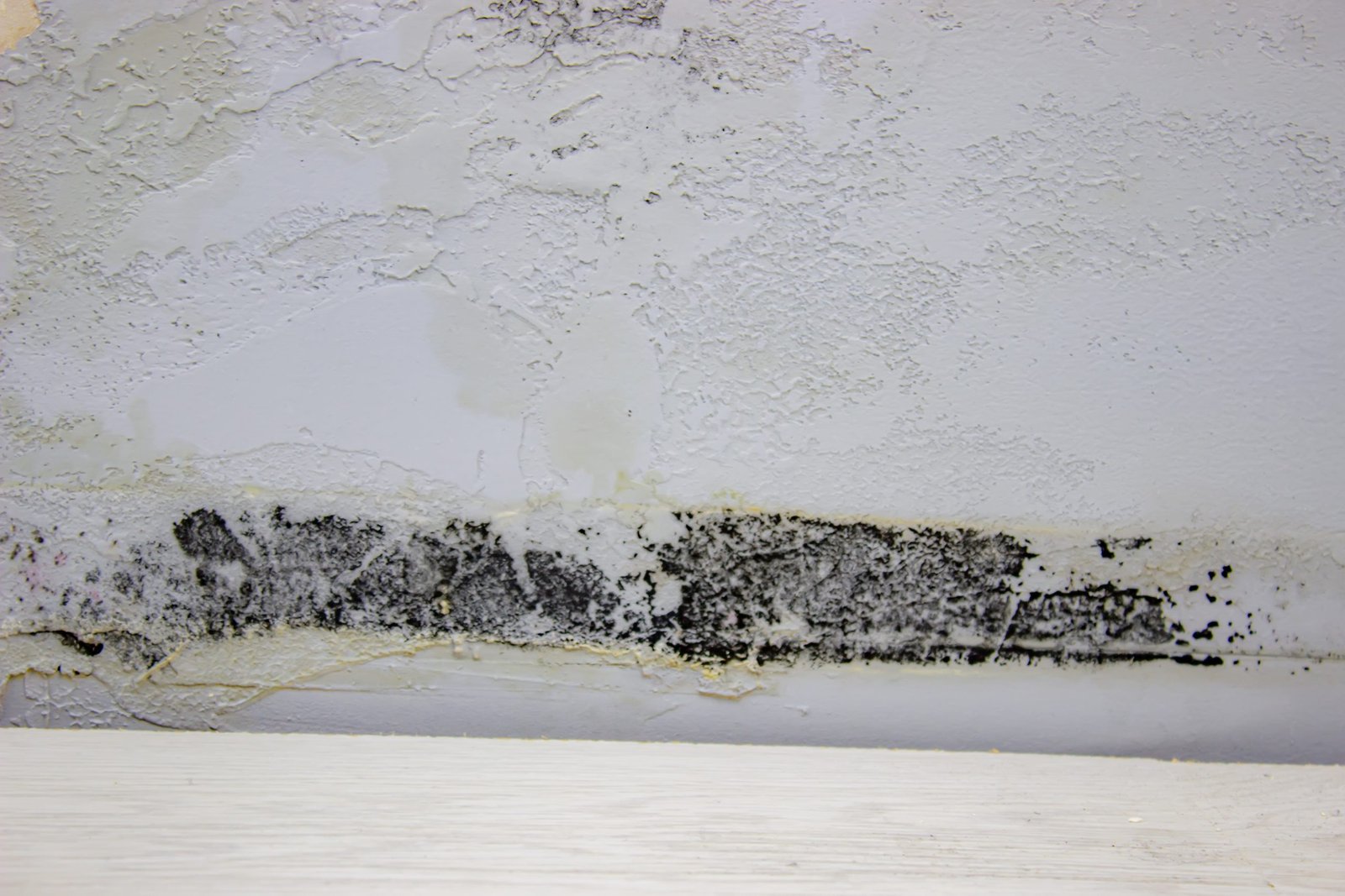 black-mold-on-the-wall-fungus-on-the-wall-Hurricane-Ian-How-to-Protect-Your-Home-from-Mold-After-the-Storm-scaled